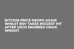 Bitcoin Price Drops Again Whilst BSV Takes Biggest Hit After USCO Snubbed Craig Wright