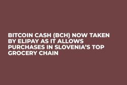 Bitcoin Cash (BCH) Now Taken by Elipay as It Allows Purchases in Slovenia’s Top Grocery Chain