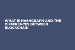 What is Hashgraph and The Differences Between Blockchain