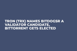 TRON (TRX) Names BitDogSR a Validator Candidate, BitTorrent Gets Elected