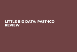 Little Big Data: Past-ICO Review