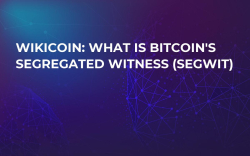 WikiCoin: What is Bitcoin's Segregated Witness (SegWit) WikiCoin: What is Bitcoin's Segregated Witness (SegWit)
