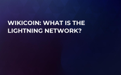 Wikicoin: What is the Lightning Network? Wikicoin: What is the Lightning Network?