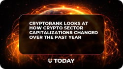 CryptoRank Looks at How Crypto Sector Capitalizations Changed Over the Past Year