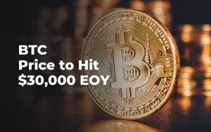 Bitcoin (BTC) Price to Hit $30,000 EOY: Kenetic Co-Founder