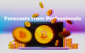 Bitcoin Fiyat Tahmini 2018-10 Profesyonellerden Tahminler