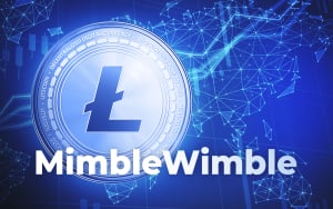 Litecoin’s Implementation of MimbleWimble: Details Disclosed by Dev