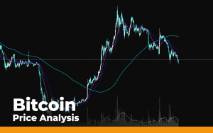Bitcoin Price Analysis: Is This the Ultimate Bottom for Bitcoin?