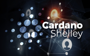 Cardano's Shelley Testnet Surpasses 500 Stake Pools