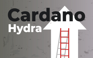 Cardano Releases Hydra Solution to Accelerate Micropayments