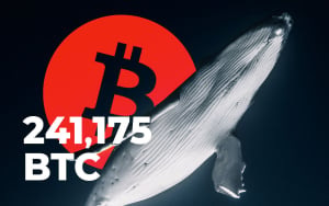 Bitcoin Whales Transfer 241,175 BTC in One Hour 