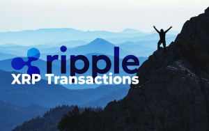 Ripple’s Top Exec: Growth in Number of XRP Transactions More Important Than Rise in Notional Volume