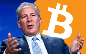 Each Time Bitcoin Rose Above $10,000, It Then Printed Big Fall—How Far Will BTC Plunge Now? Asks Peter Schiff