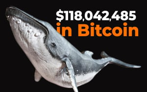 Crypto Whales Shift $118,042,485 in Bitcoin as BTC Hangs Below $10,500