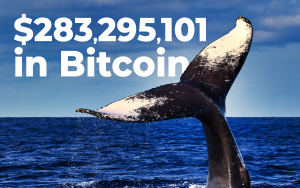 $283,295,101 in Bitcoin Shifted by Whales for Just $22 Fee As BTC holds at $13,000