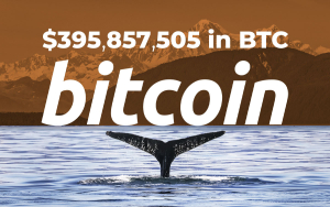 Bitcoin Whales Shift $395,857,505 in BTC for Fee Banks Would Never Offer