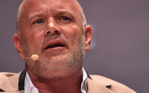 Bitcoin Should Be Compared to Gold, Not to Other Crypto: Mike Novogratz