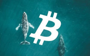 Bitcoin (BTC) Network Has Never Been So Whale Dominated: Santiment