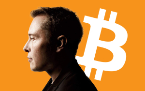 Bitcoin Fixes This: Elon Musk Slams Banks for Weak Security and High Latency