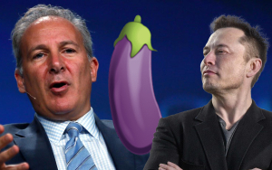 Elon Musk Sends Eggplant Emoji to Peter Schiff About Bitcoin, Here's What It Means