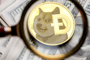 Dogecoin Is Not Worth $37 Billion, Says Crypto King Barry Silbert