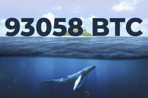 93,058 Bitcoin Transferred Over Past Hour by Coinbase and Anonymous Whales