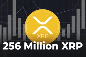 256 Million XRP Transferred from Coinbase Wallet