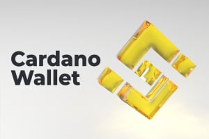 Binance to Put Cardano (ADA) Wallet on Maintenance on August 31