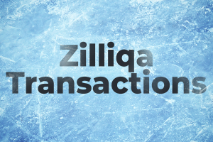 Zilliqa (ZIL) Transactions Frozen for 24 Hours So Far: See Post-Mortem