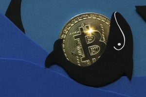 Another 60% Growth on Bitcoin Is Possible in the New Accumulation Period Initiated by Whales