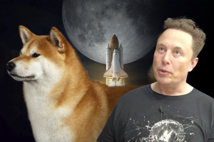 Elon Musk and SHIB Whales Pushing Shiba Inu 15% Up, Here’s How