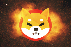 Almost 900 Million SHIB Tokens Burned Today