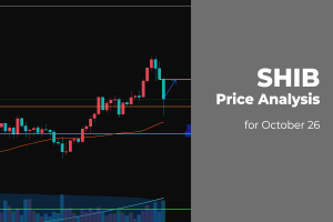 SHIB Price Analysis for October 26