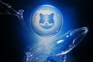 Multiple Crypto Whales Grab Over $46 Million of SHIB Recently: SHIB Community