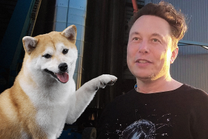 Elon Musk's Shiba Inu Floki Picture Attracts Over 90,000 Tweets