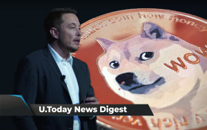 Musk Named New Fake Board Chairman of Dogecoin, SHIB Network Activity Drops, SHIB Amazon Petitions Gain 173,373 signatures: Crypto News Digest by U.Today