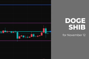 DOGE and SHIB Price Analysis for November 12