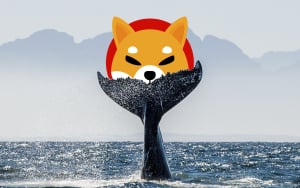 New SHIB Whale Bought 171 Billion Tokens