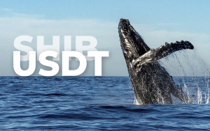 Whales Drop SHIB Holdings, Moving Their Funds into USDT