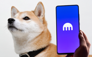 Dogecoin Killer Shiba Inu Listed by Kraken