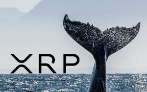 $100 Million Worth of XRP Moved By Whales Amid 3% Correction