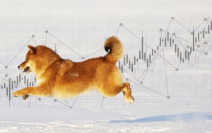 Shiba Inu Technical Indicator Shows Reversal After Predicting 200% Run