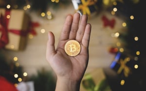 Bitcoin for $24,000, Ethereum for $600: Here's How Much Cryptocurrencies Have Gained Since Christmas 2020