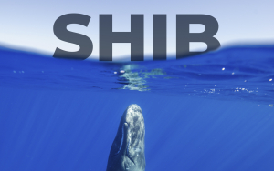 Top ETH Whales Still Prefer SHIB as Leading Asset: Details