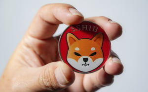 Shiba Inu Adds 100,000 New Holders Within Weeks of Reaching 1 Million Milestone