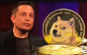 Elon Musk Says Dogecoin Is Better Suited for Transactions Than Bitcoin as Time Magazine Names Him Person of the Year