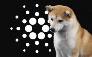 Shiba Inu, Cardano Present Buying Opportunity According to This Indicator