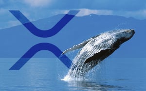 $40 Million Worth of XRP Withdrawn by This Whale from Binance, Here Are Potential Reasons