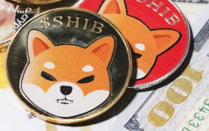 383.5 Million SHIB Burned in Past 3 Days, While Coin Is in Decline