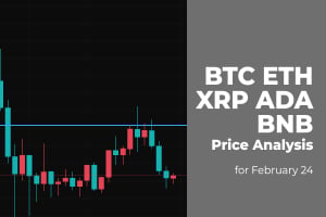 BTC, ETH, XRP, ADA and BNB Price Analysis for February 24